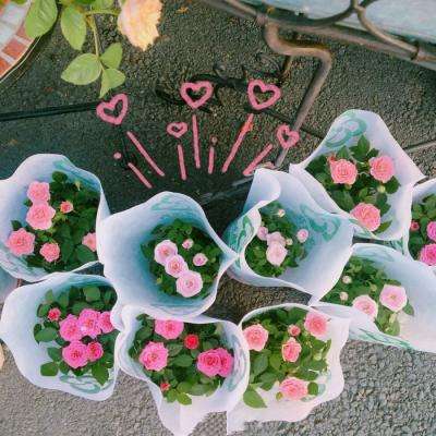 半岛5.0下载官网截图